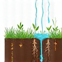 レインガーデンの概念図